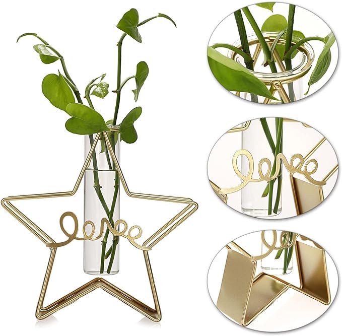 Star Vase