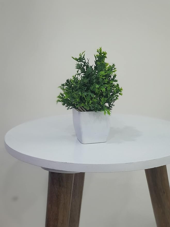 Artificial Plants (Set of 8)
