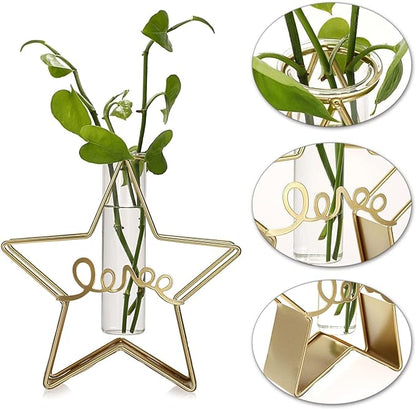 Star Vase