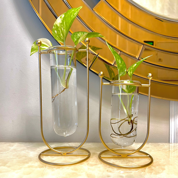 Hydroponic Tube Vase (Set of 2)