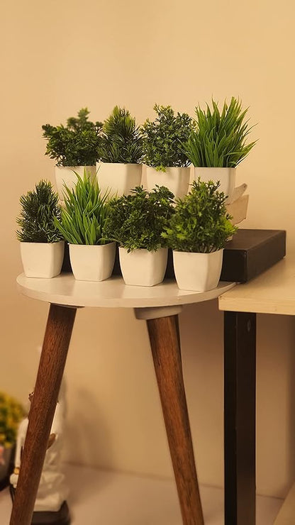 Artificial Plants (Set of 8)
